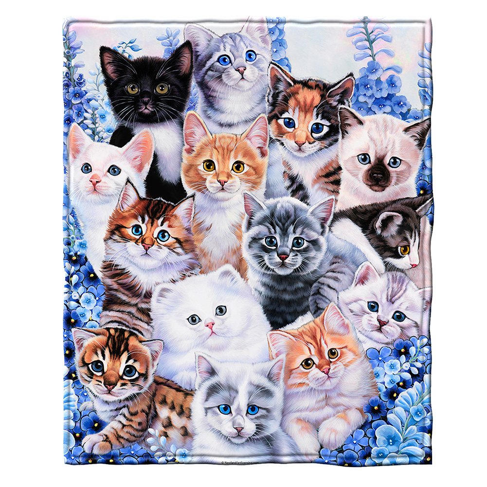 Dawhud Direct Super Soft Full/Queen Size Plush Fleece Blanket by Jenny Newland, 75" x 90" (Kitten Collage)