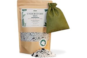 Hidden Roots Understory Mix – Soil-Free Mineral Substrate for Potted Indoor Plants (2 L) with Additive Kit