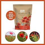 Seedball Poppy Seed Bombs Pack 100 Seed Balls Red Flowers Bees view 2