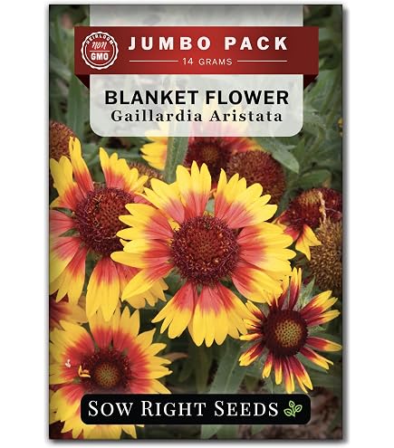 GAILLARDIA - Indian Blanket Flower | Buy Online at Seeds Of Plenty