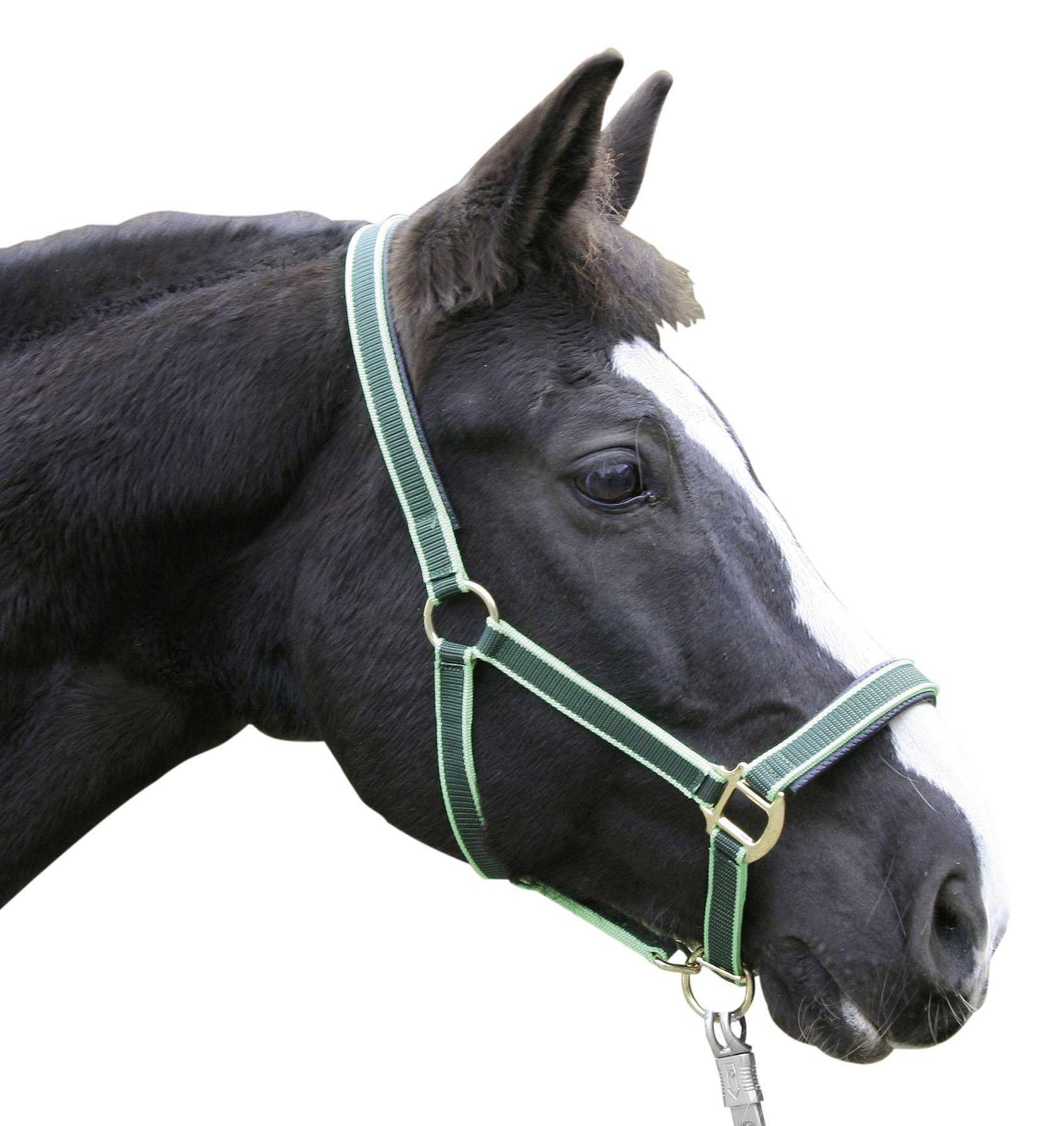 Kerbl Exclusive Head Collar - Green, Size 2