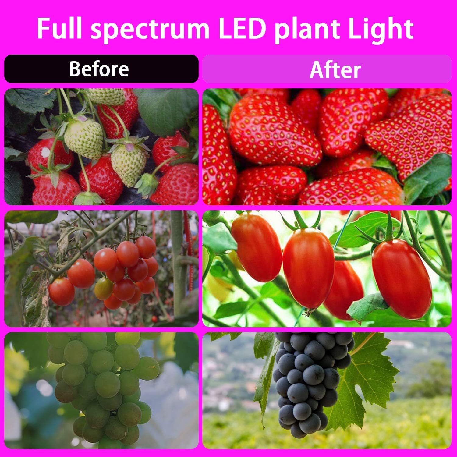 Sunrich Grow Light for Indoor Plant 80W Full Spectrum Led Growing Lamps with Remote Control, On/Off 4/8/12H Timer, 10 Dimmable Levels for Indoor Succulent Plants Growth: Home Improvement