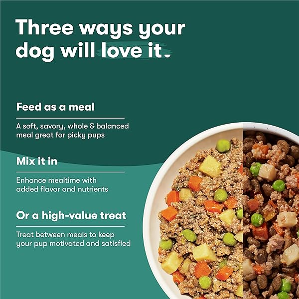 JINX BEEF GRAIN FREE WET DOG FOOD POUCHES, MEAL OR DOG FOOD TOPPER MIX-IN, MADE WITH REAL BEEF & CHICKEN, BONE BROTH, NO FILLERS – PUPPY, ADULT, SENIOR, 9OZ, 6 PACK