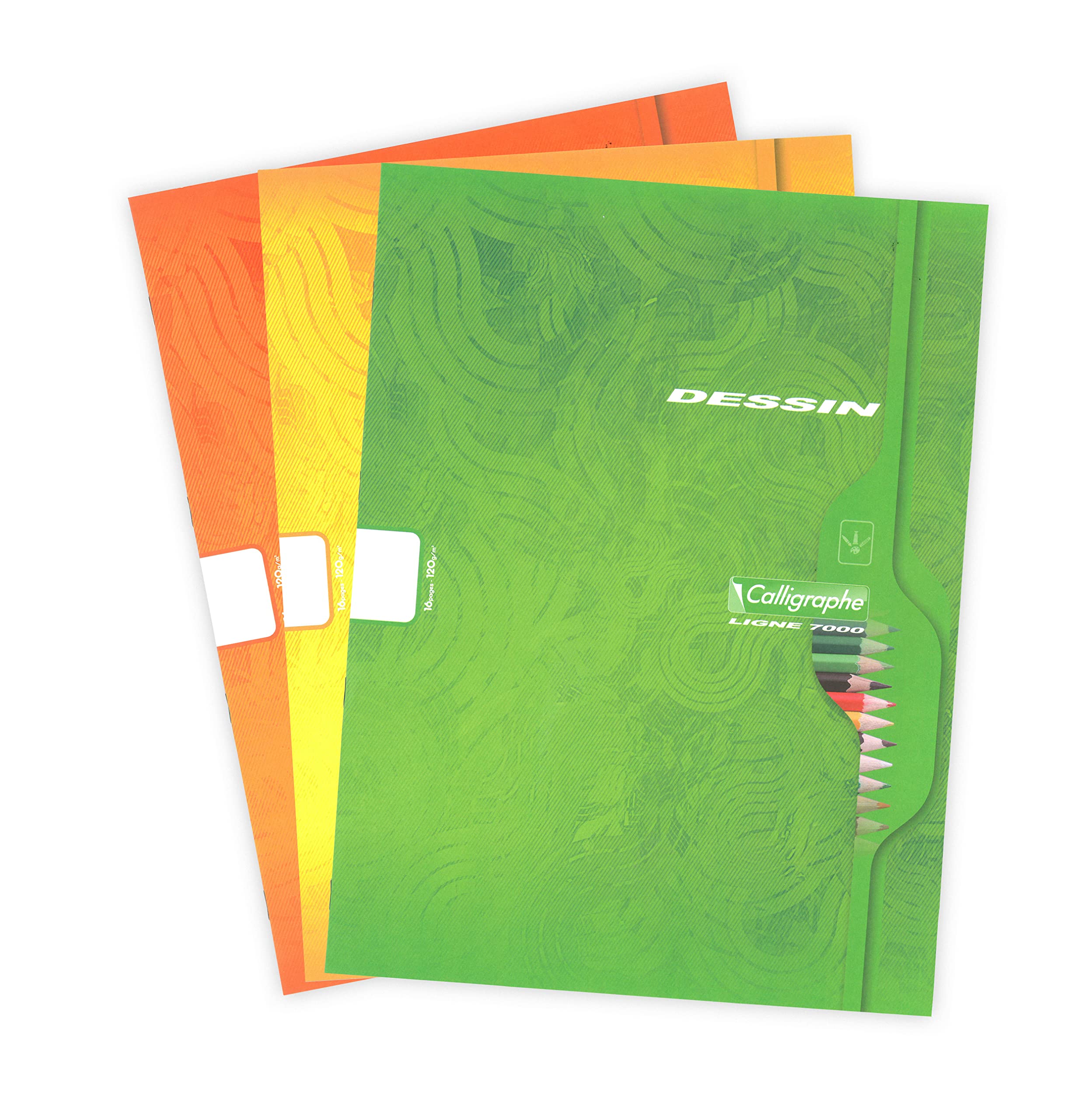 Calligraphe 553C A Drawing Book (a Clairefontaine Brand) - 24x32 cm - 16 Plain White Pages - 120 g Drawing Paper - Varnished Recycled Card Cover - Random Colour