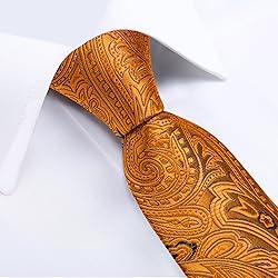 DiBanGu Silk Paisley Ties for Men Woven Necktie and