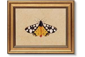 VIYYIEA Vintage Gold Framed Wall Art for Living Room, Arctia Caja Canvas Prints Home Decor, Oil Painting Picture, Bedroom Wall Decor Gifts for Friends or Family -【Arctia Caja】-(10L x 8W)