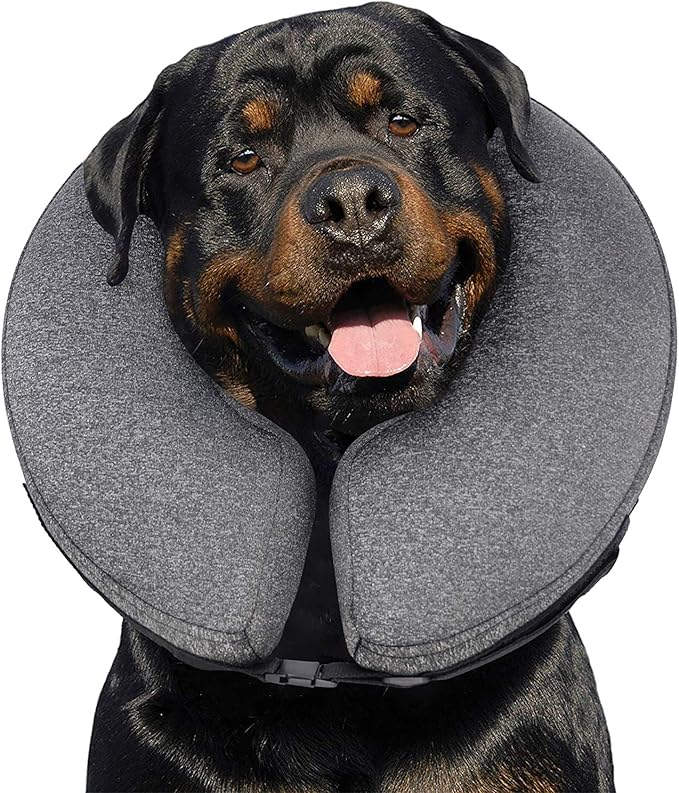 dog operation collar