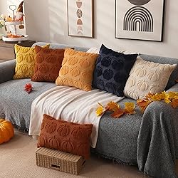DFXSZ Fall Pillow Covers 16x16 Set of 2 Fall