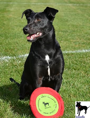 floppy dog frisbee