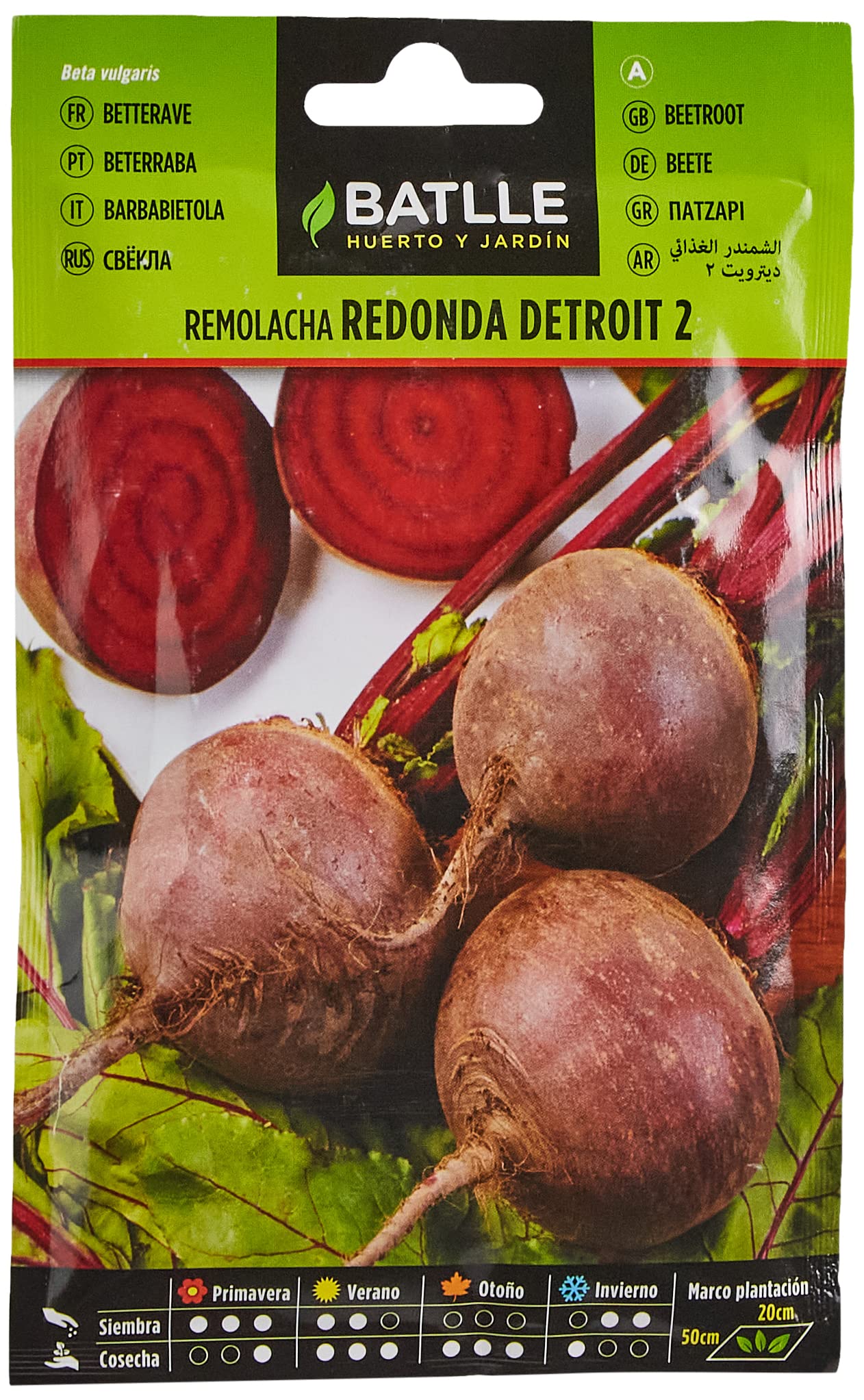 Seeds Batlle – Beetroots Detroit 2 Beet 10 gramos