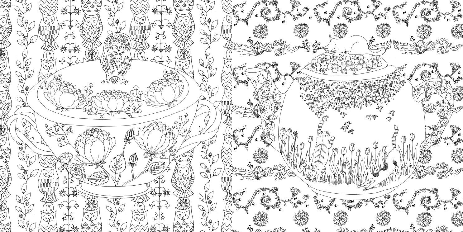 大人のぬりえ 花と夢いっぱいの ぬりえ 本2冊 24色の色鉛筆セット 竹脇麻衣 本 通販 Amazon