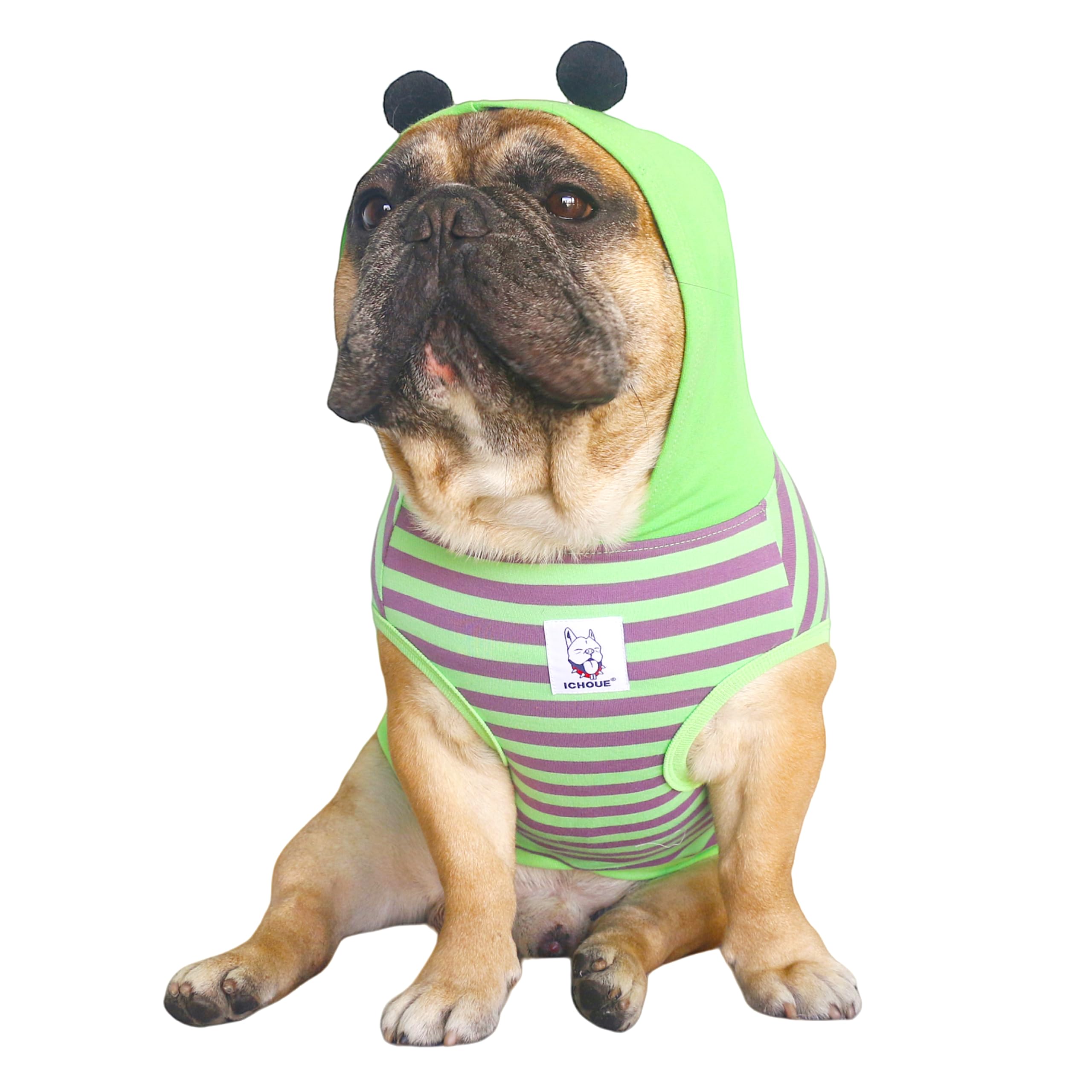 iChoue Pug Bumble Bee Halloween Costumes Clothes Hoodies Shirts Vest for Medium Dogs Cold Weather Winter Coats French Bulldog Frenchie English Pitbull Boston Terrier - Green Purple, Small