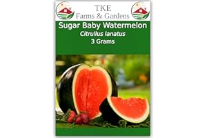 TKE Farms & Gardens - Sugar Baby Watermelon Seeds for Planting, 3 Grams, 85 Heirloom Seeds, Non-GMO, Packet Includes Instructions for Growing, Citrullus lanatus, Qty 1