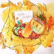 The Storytime Box - Educational Subscription for Kids: Little Tot Box