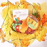 The Storytime Box - Educational Subscription for Kids: Little Tot Box