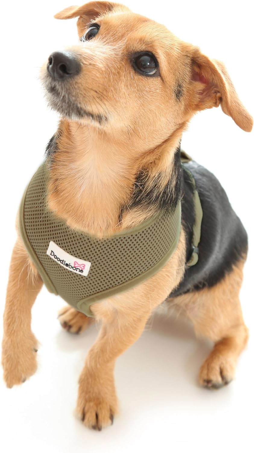 boomerang dog harness