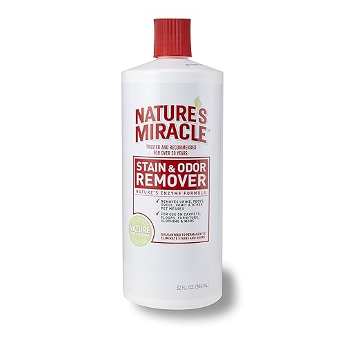 Top 8 Best Enzymatic Cleaners To Buy In 2024 Reviews