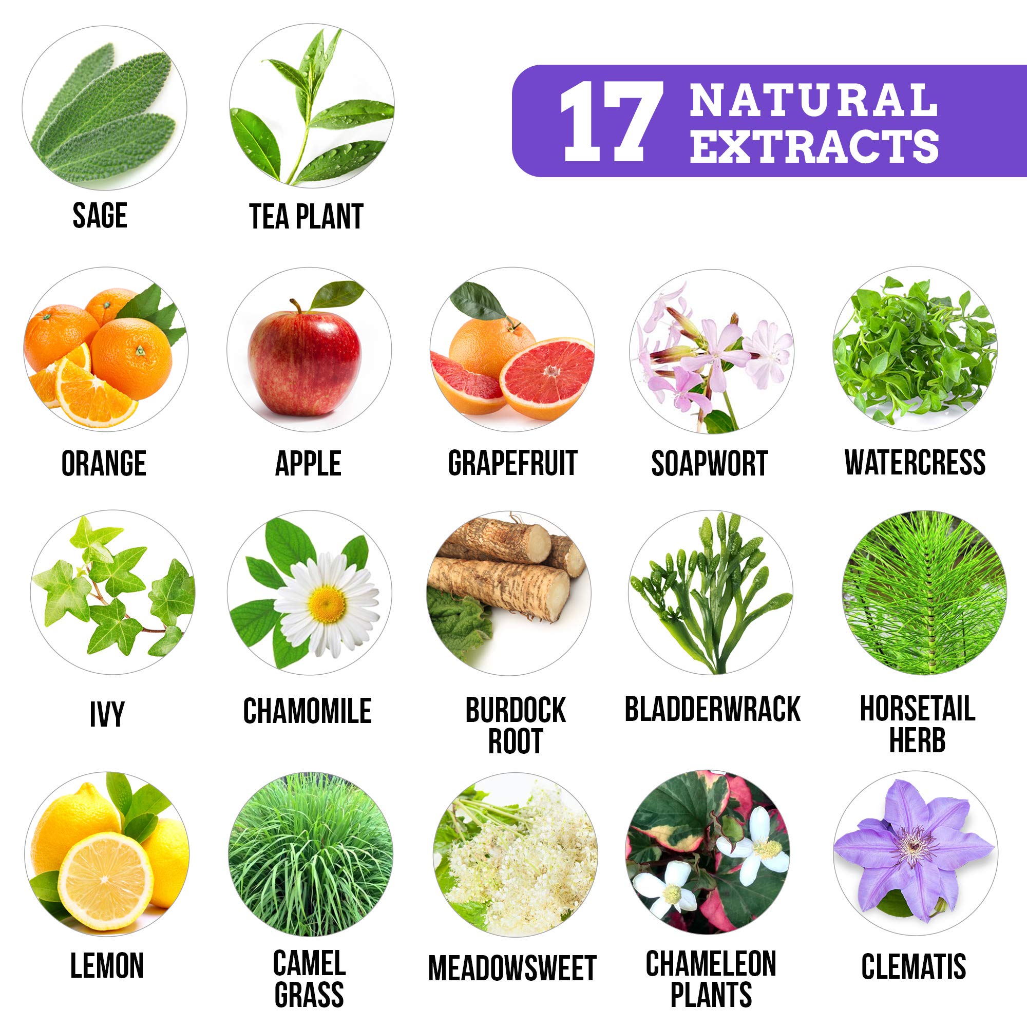 Exfoliating Foot Peel Mask - 2 Pairs of Booties for Smooth and Soft Feet - Peeling Away Rough Heels Dead Skin Cells and Calluses - Lavender Scented Natural Formula for Silky Soft Feet