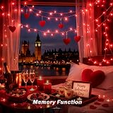 Ollny 10m 100 LED Red Fairy Lights Outdoor Waterproof with Remote view 6