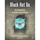 Black Hat Go: Go Programming For Hackers and Pentesters