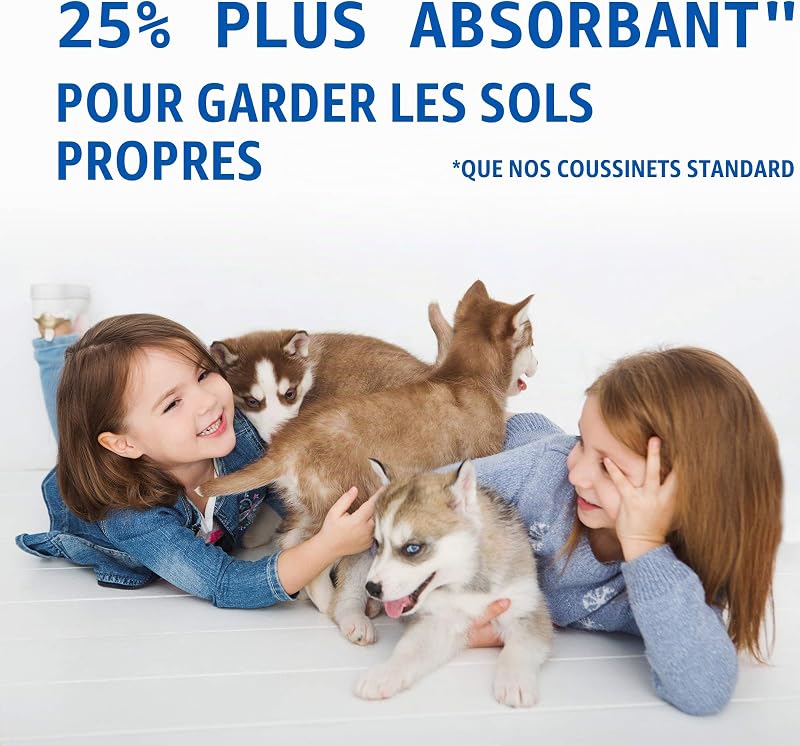 Allez ici Coussinets absorbants pour animaux de compagnie et chiots | 100 Pads