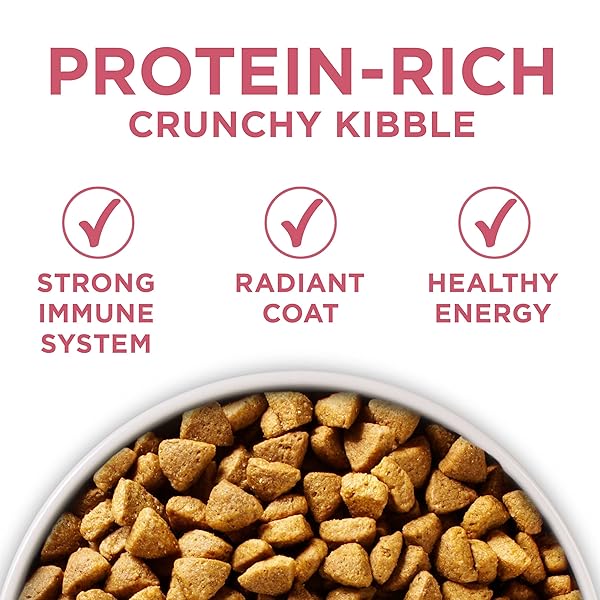 PURINA ONE NATURAL, SENSITIVE STOMACH DRY DOG FOOD, +PLUS SKIN & COAT FORMULA – 16.5 LB. BAG