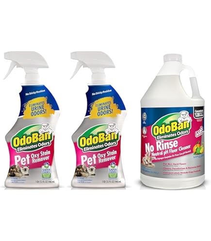 Does Odoban Work Cat Urine? Proven Tips to Eliminate Odor