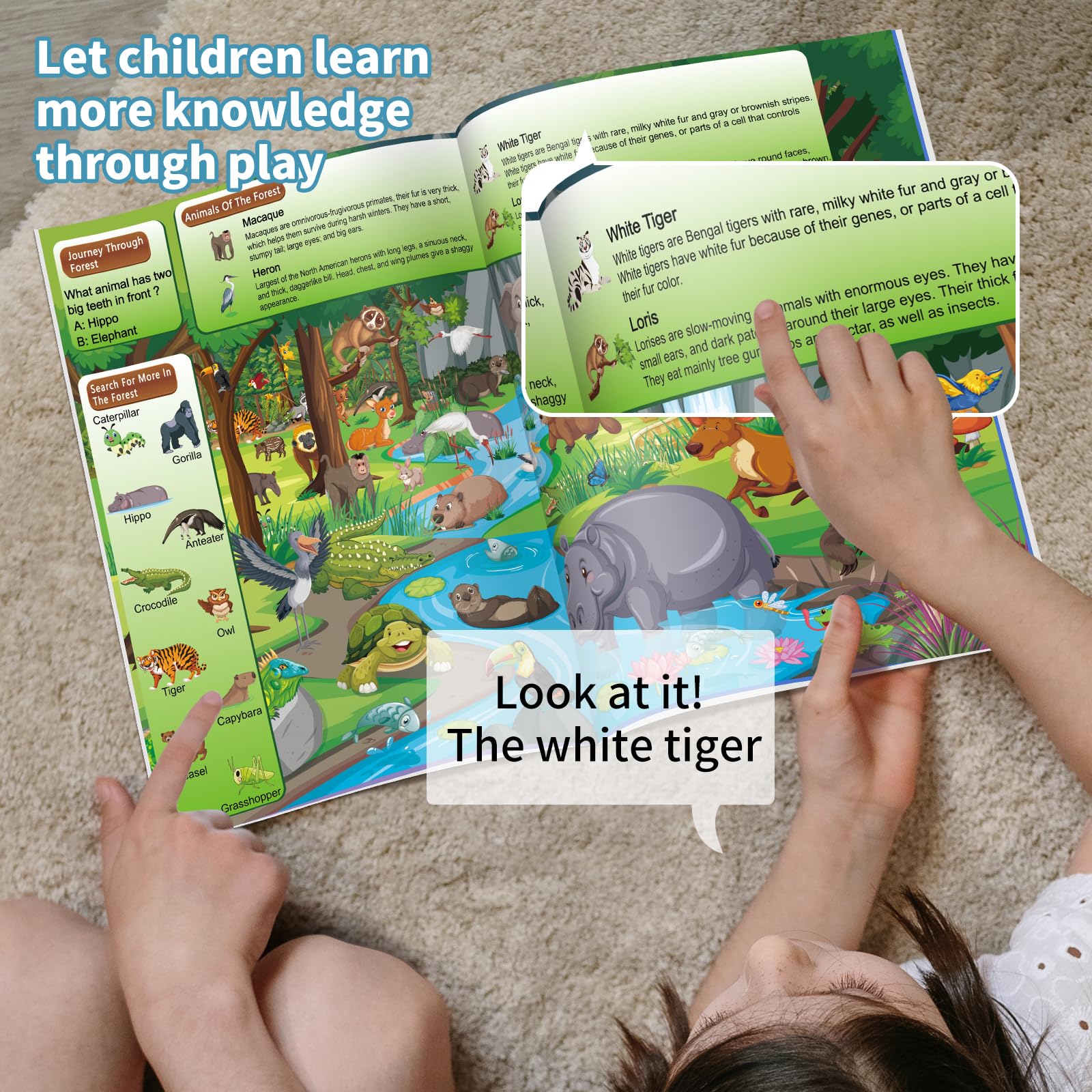 4 Pack Search and Find Activity Book for Kids Ages 3-5 4-8 8-12, Car Game,Toys for Road Trip Airplane Activities,Activity Books Over 240 Fun Animal Knowledge