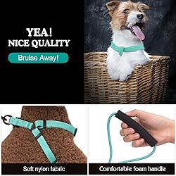 Pawaboo Dog Leash Harness Set, Durable Adjustable