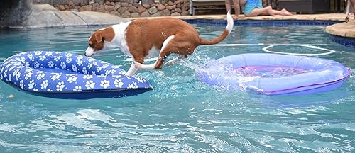 Ginkago Inflatable Pool Float for Adult Dogs and Puppies, Large