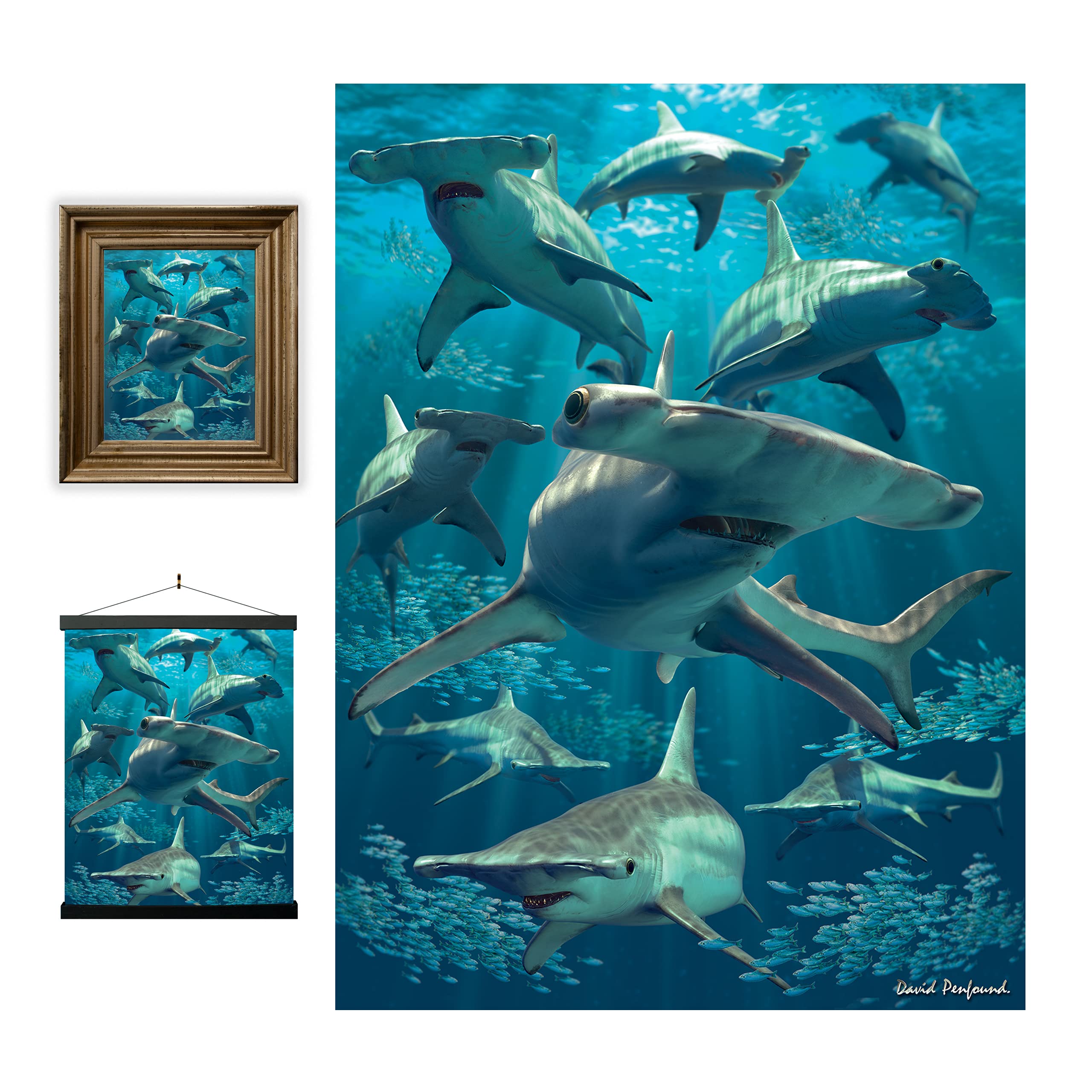 3D LiveLife Lenticular Wall Art Prints - Hammerhead Shark from Deluxebase. Unframed 3D Ocean Poster. A perfect wall filler. Original artwork licensed from renowned artist, David Penfound