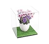 Better Display Cases Versatile Clear Acrylic