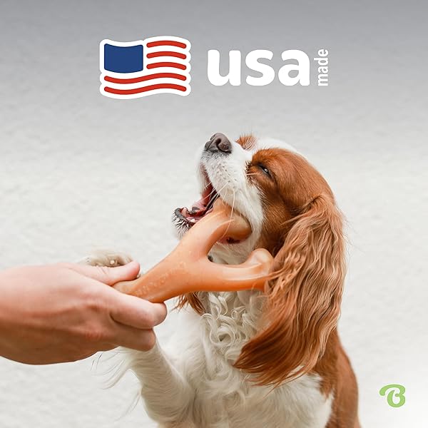 BENEBONE WISHBONE DURABLE DOG CHEW TOY FOR AGGRESSIVE CHEWERS, MADE IN USA, SMALL, REAL BACON FLAVOR