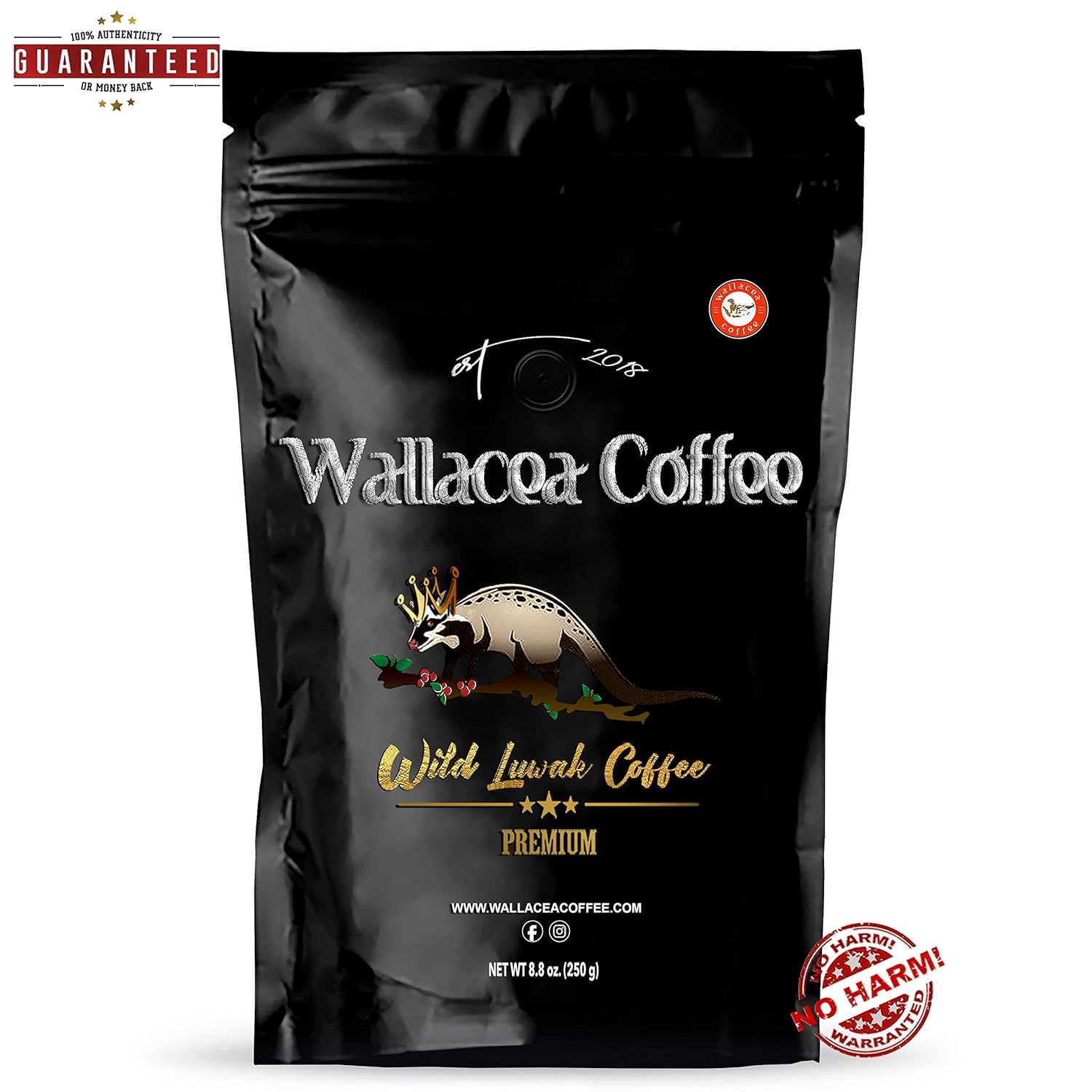 The 10 Best Coffee Bean Cooling