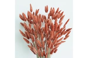 CKBT 120 PCS Rust Orange Dried Pampas Grass Decor, 17-inch Pompas Floral, Dry Flowers for Decoration, Pampas Grass in All, Bunny Tails Dried Flowers for Boho Wedding Decor