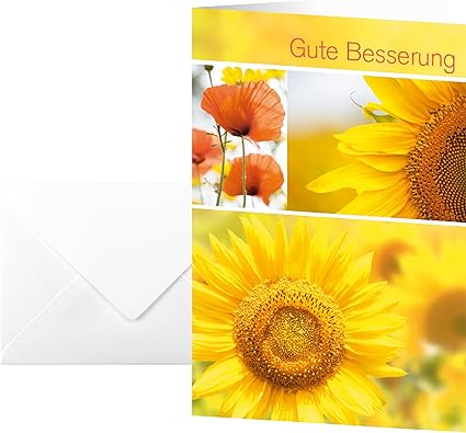 Sigel Ds047 Carte Di Buona Guarigione 10 Pezzi Con Buste Amazon It Cancelleria E Prodotti Per Ufficio