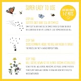 Seedball Wildflower Seed Bombs Wildlife Collection 6 Packs UK view 6