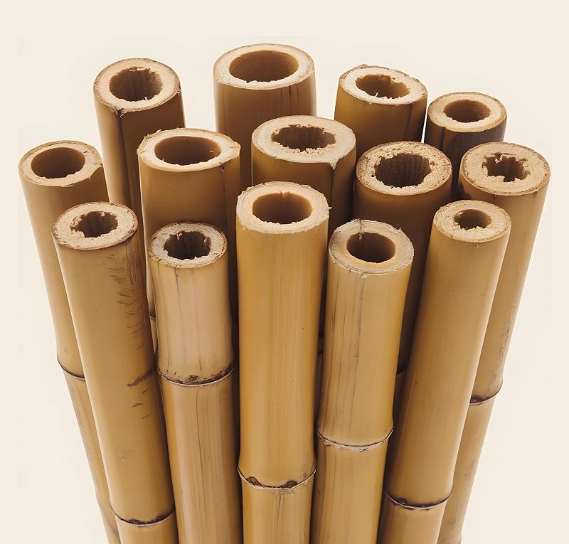 BPIL Bamboo Plant Supports 2ft-10ft Heavy Duty Canes 6-14mm Thick Garden Stakes