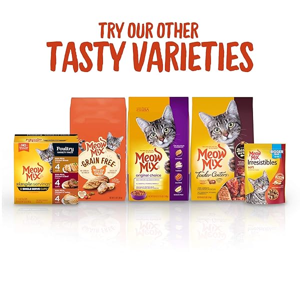 MEOW MIX IRRESISTIBLES SOFT CAT TREATS MADE WITH REAL SALMON, 3 OZ. POUCH