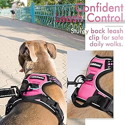 rabbitgoo Dog Harness, No-Pull Pet Harness with 2