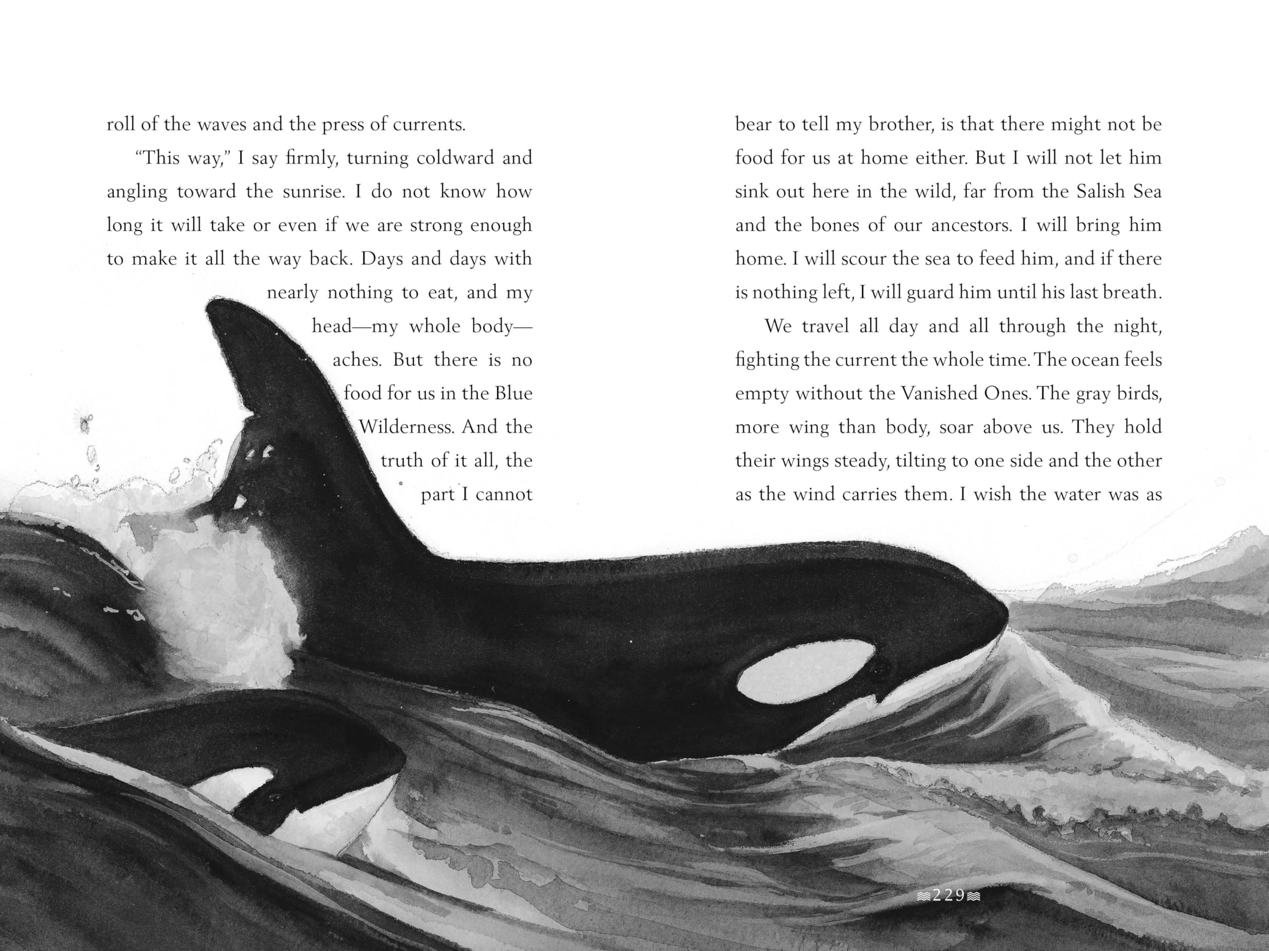 A Whale of the Wild: A Thrilling Tale of An Orca’s Journey Across the Oceana Stand-Alone Companion to the New York Times Bestselling A Wolf Called Wander (A Voice of the Wilderness Novel)