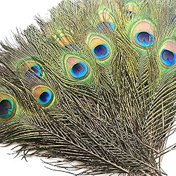 Piokio 10 pcs Natural Peacock Feathers in Bulk
