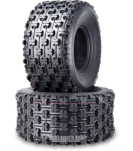 Amazon.com: WANDA 2 New ATV Tires 22X11-10 4PR P322 Dimple