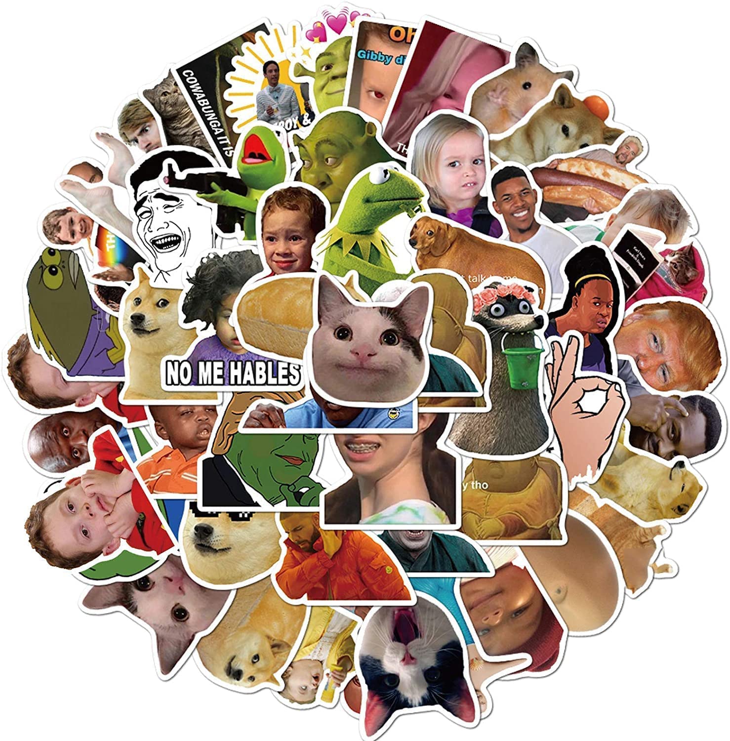 50Pcs Funny Meme Stickers Water Bottles Laptop Phone Computer Guitar Skateboard Hydroflasks Fashion Internet Celebrity Meme Waterproof Vinyl Sticker Aesthetic Trendy Decals for Teens Girls Adults