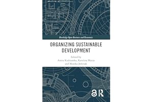 Organizing Sustainable Development (Routledge Open Business and Economics)