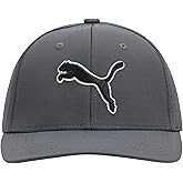 Puma Women's Evercat Running Cap