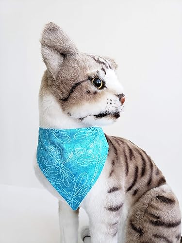 cat bandana amazon