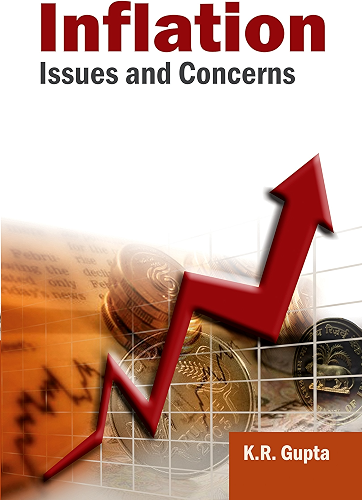 Download Inflation: Issues and Concerns (English Edition) PDF