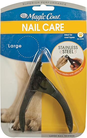 how to give pumpkin to dogs