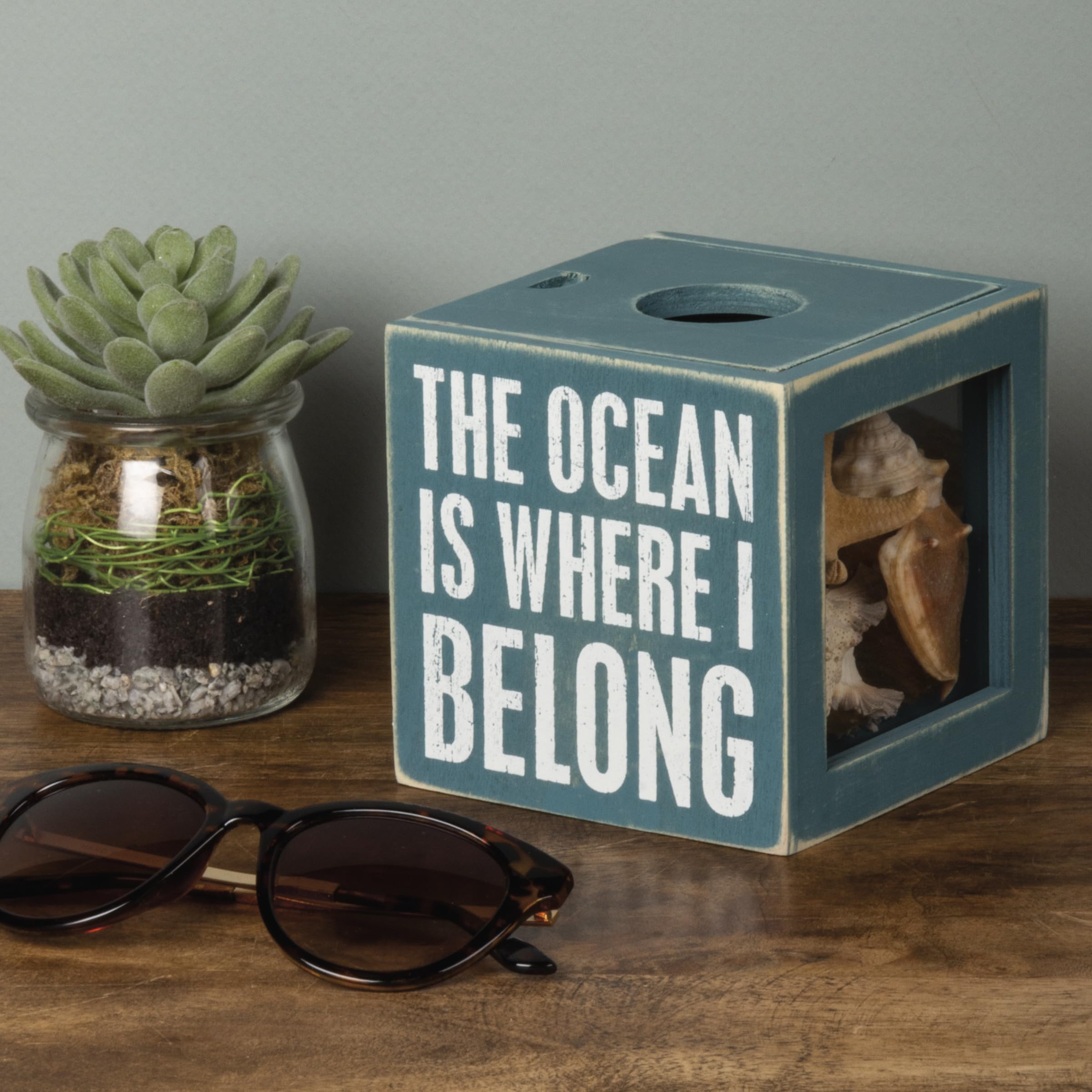 Primitives by Kathy 27814 Beach House Decor Sea Shell Holder, 4.25 x 4.25 x 4.25-inches, The Ocean Is Where I Belong